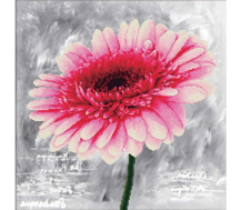 No Count Cross Stitch - Printed Aida 11 - pink dahlia 43 x 43cm