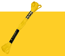 DMC Stranded Cotton 973