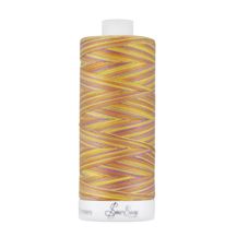 SEW EASY COLLECTION - Fine Quilting Thread 100% Cotton - variegated  50/3 731m col 4270