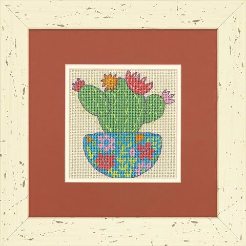 Happy Cactus