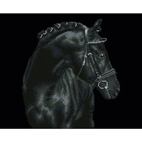 Black Sheen - 42 x 52cm