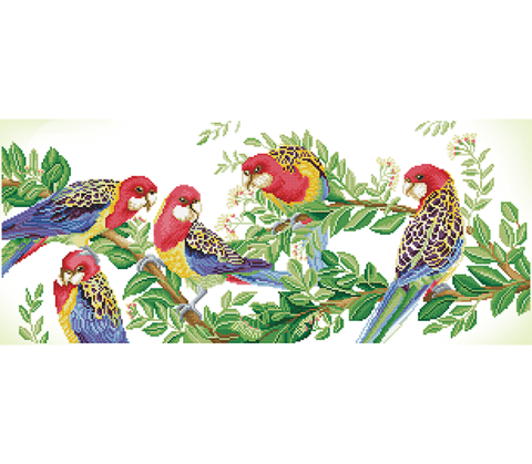 Eastern Rosella Gathering - 87 x 37cm (34.3 x 14.5in)