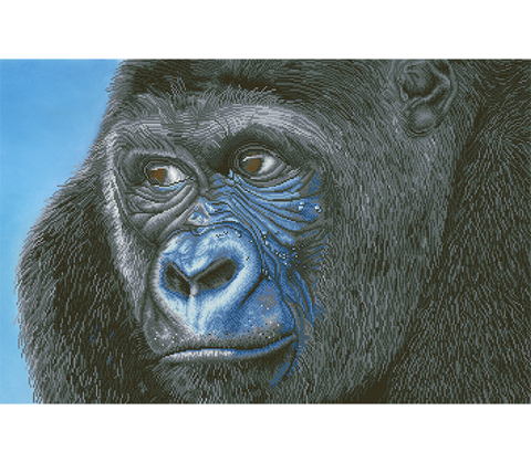 Kibali Western Lowland Gorilla - 100 x 65cm      (39.4 x 25.6in)