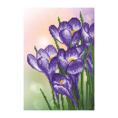 Spring Crocus - 32 x 22cm