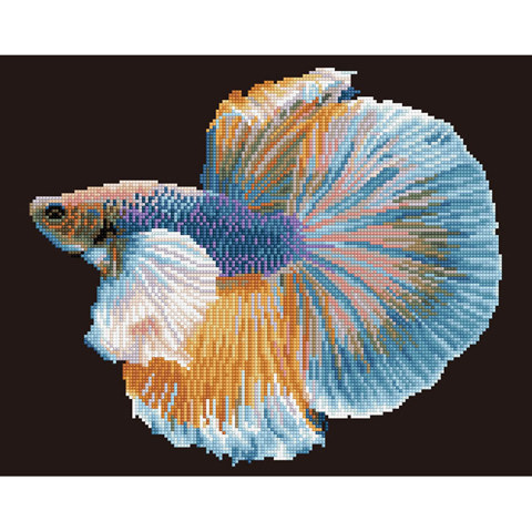 Luminous Fish - 37 x 47cm