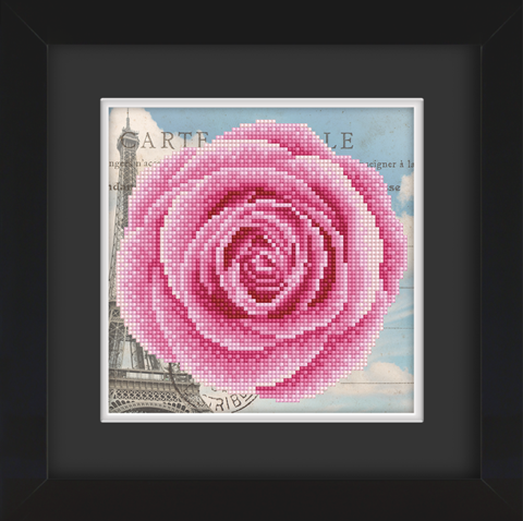 Frame with Framing Mat Board DDF18.215X215