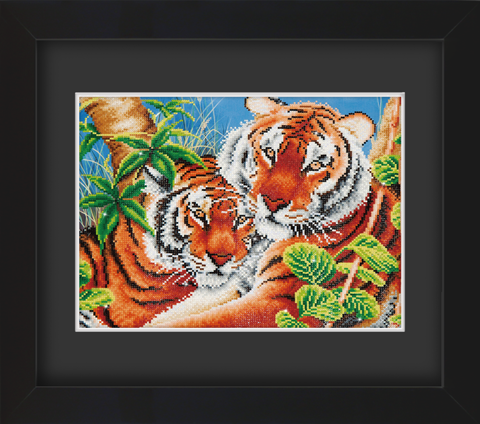 Frame with Framing Mat Board DDF11.515X370