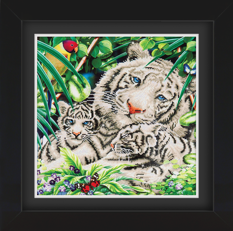 Frame with Framing Mat Board DDF17.515X515