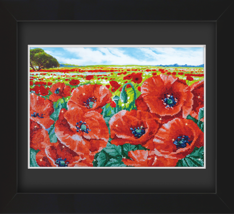 Frame with Framing Mat Board DDF12.600X415