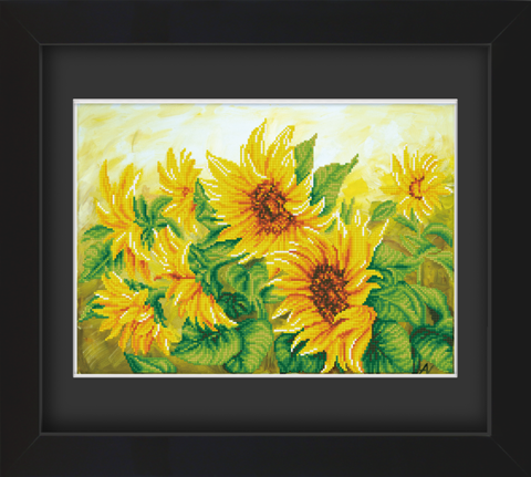 Frame with Framing Mat Board DDF12.405X565