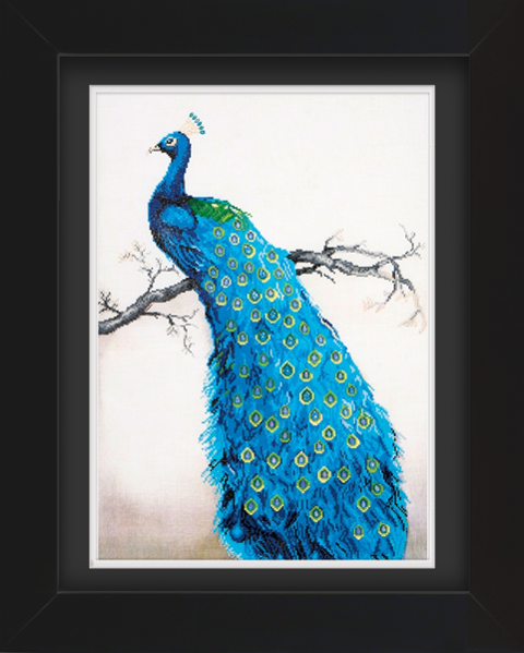 Frame with Framing Mat Board DDF16.590X835