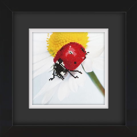 Frame with Framing Mat Board DDF18.195X195