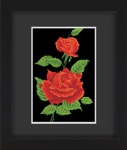 Frame with Framing Mat Board DDF21.265X405