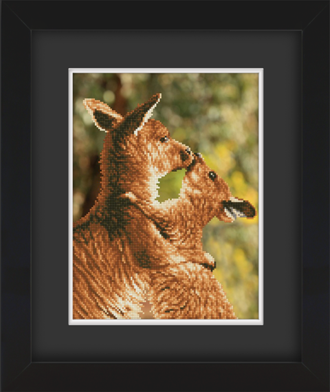 Frame with Framing Mat Board DDF21.310X410