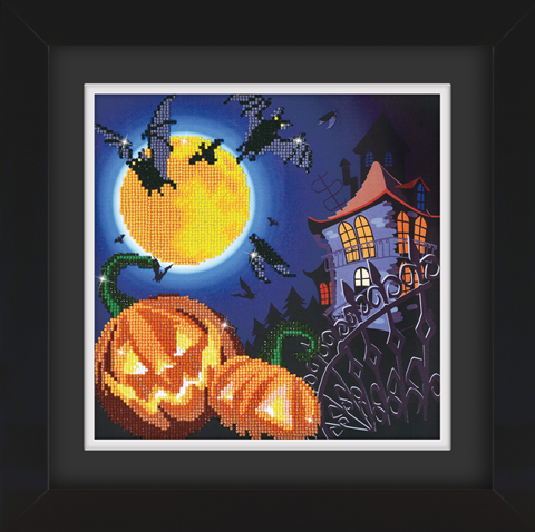 Frame with Framing Mat Board DDF19.315X315