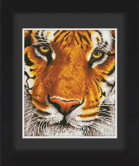 Frame with Framing Mat Board DDF21.360X415