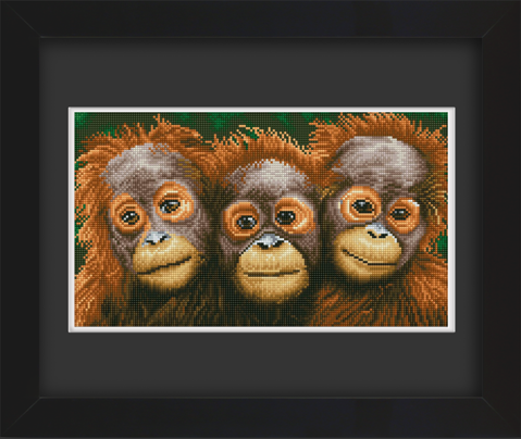 Frame with Framing Mat Board DDF21.465X265