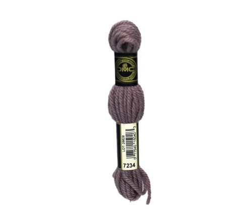 DMC Tapestry Wool 8m - 7234