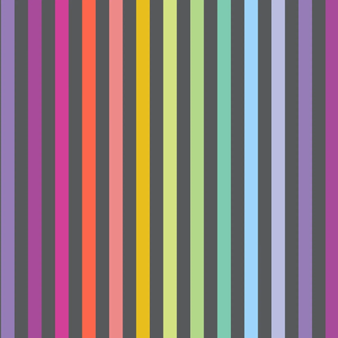 TULA PINK GRAYWORK - DISCO STRIPE - CARBON