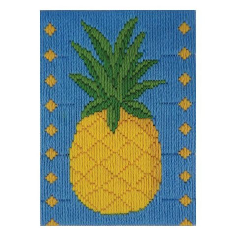 Long Stitch Kit 13 x 18cm - Pineapple