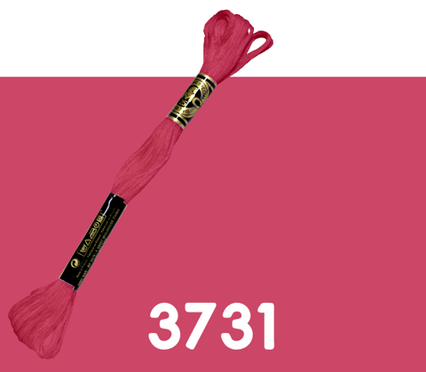DMC Stranded Cotton 3731