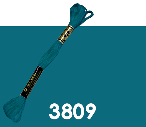 DMC Stranded Cotton 3809