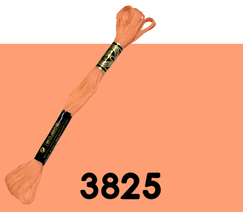 DMC Stranded Cotton 3825