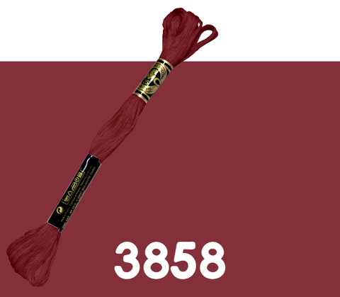 DMC Stranded Cotton 3858