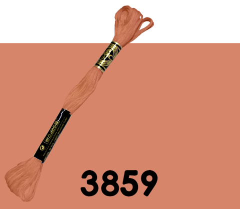 DMC Stranded Cotton 3859