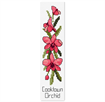 FIONA JUDE - Country Thread Cross Stitch B/Markcooktown orchid 4 cms x 20 cms