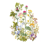 Thea Gouverneur Cross Stitch Kit - Herb Panel 350 x 450mm