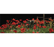 Thea Gouverneur Cross Stitch Kit - Poppies in Field 550 x 220mm
