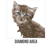 Diamond Art -  Kitten - 30 x 30 cm