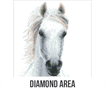 Diamond Art -  White Horse - 30 x 30cm