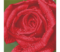 Diamond Dotz Rose Dew - 30.5 x 30.5cm (12 x 12in)