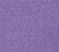 Minky - Fleece - Purple