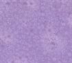 Patterns - Flutter - Tone On Tone 100% Cotton Printed Fabric - 13 lilac
