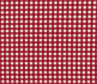 Baby Canvas - Gingham - Red on Cream