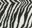 Felt Acrylic Rectangles - Printed - zebra