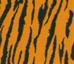 Felt Acrylic Rectangles - Printed - Tiger