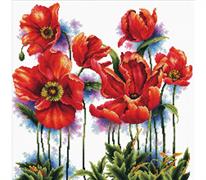 No Count Cross Stitch On White Aida 14 - lovely poppies 40x40cm