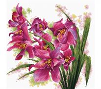 No Count Cross Stitch On White Aida 14 - lovely orchids 39x39cm