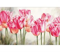 No Count Cross Stitch - Printed Aida 11 - pink tulips 67 x 42cm