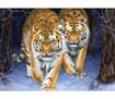 No Count Cross Stitch - Printed Aida 11 - stalking tigers