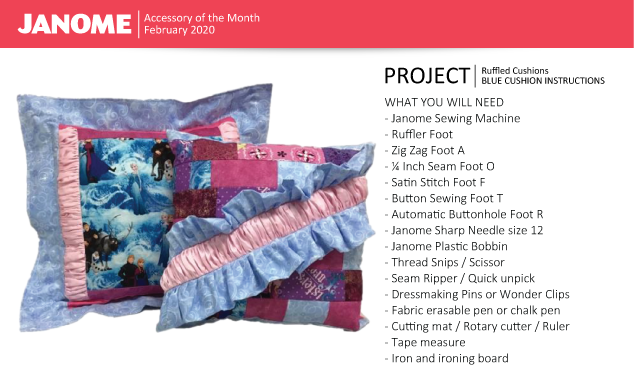 Janome Project for AOTM - Feb 2020